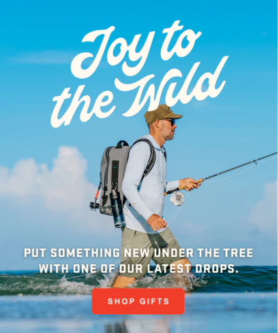 JOY_TO_THE_WILD_WEB_m